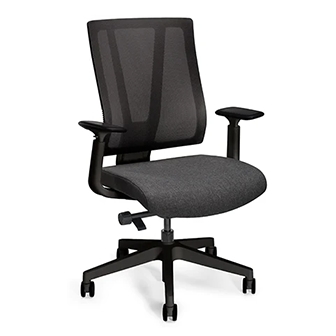 Clarksville ergonomic chair