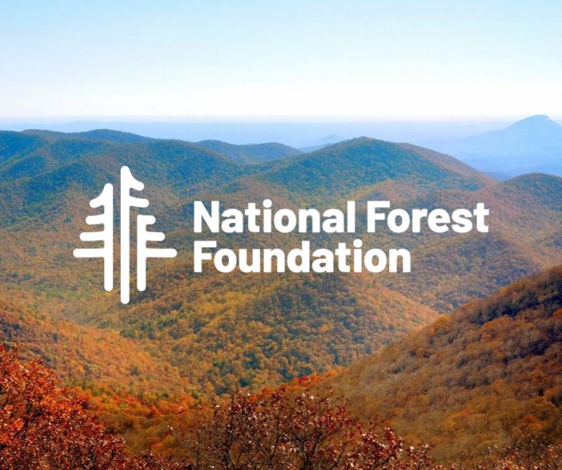 national forest foundation logo