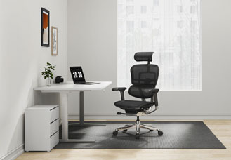 Raynor Ergohuman Mesh Chair with Headrest ME7ERG-GEN2 hover image