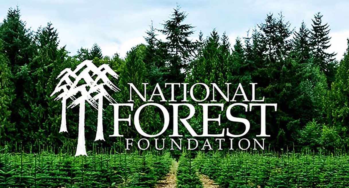 The National Forest Foundation logo with a tree farm leading to a forest