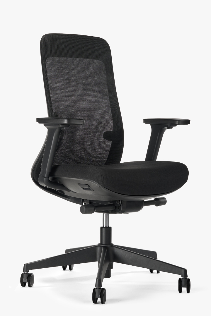 Bolan ergonomic chair