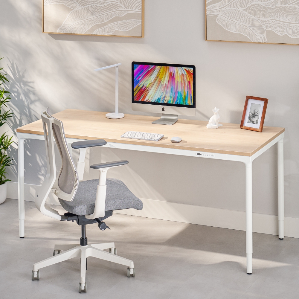 Parsons standing desk with a maple laminate desktop and white frame