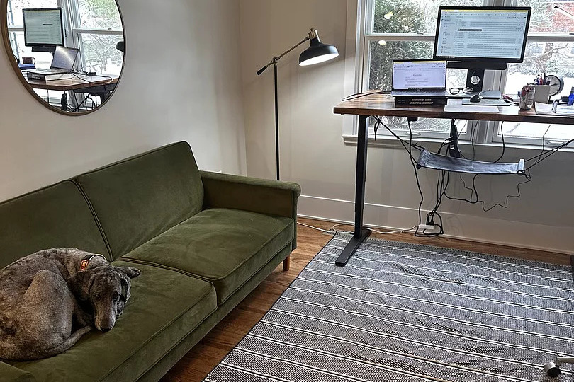 An Uplift Standing Desk overlooks a window while a big grey dog sleeps on a green velvet couch.