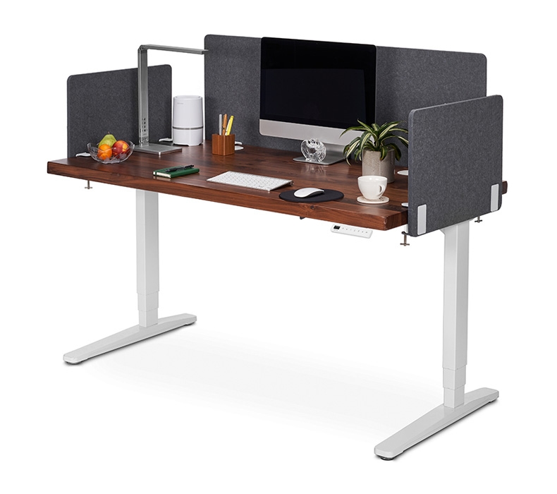 60" x 30" Walnut Solid Wood Standing Desk with Dark Gray Desk-Mounted Acoustic Panels by UPLIFT Desk
