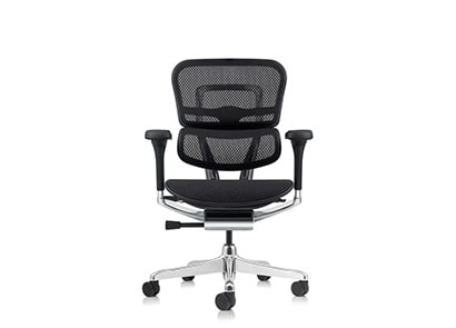 Raynor Ergohuman Mesh Chair ME8ERGLO