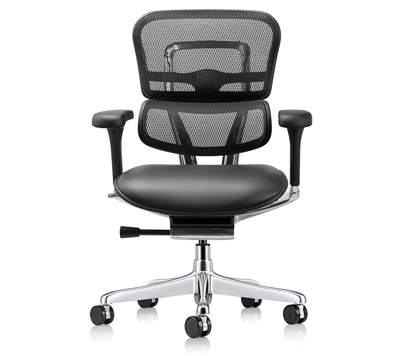 Raynor Ergohuman Mesh Back Chair with Leather Seat (LEM6ERGLO)