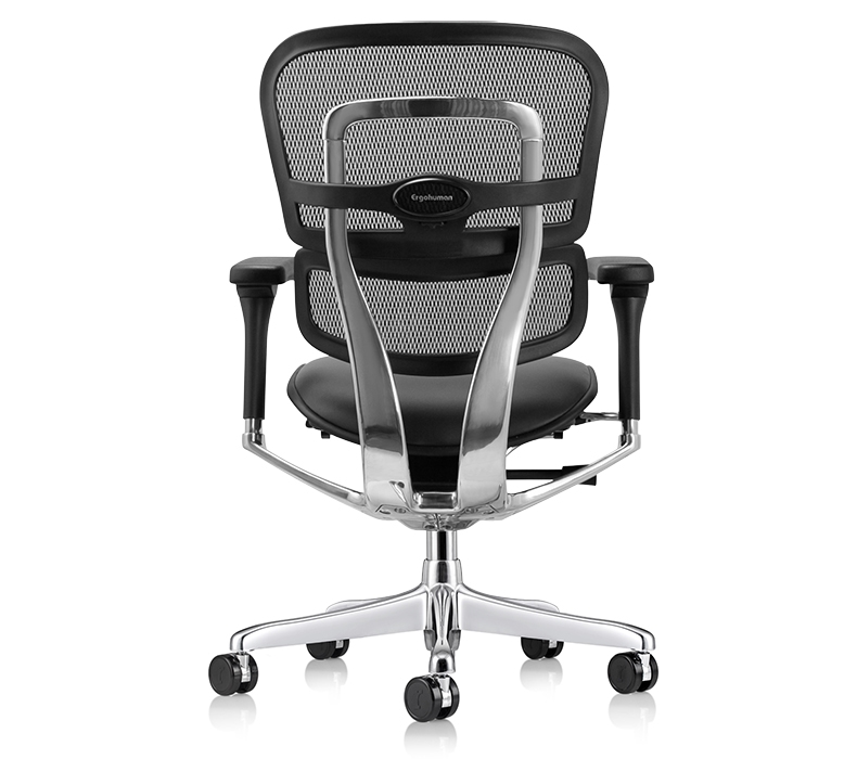 Raynor Ergohuman Mesh Chair with Leather Seat LEM6ERGLO
