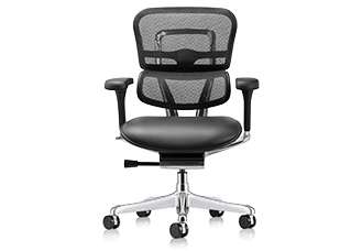 Raynor Ergohuman Mesh Chair with Leather Seat LEM6ERGLO