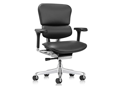 Raynor Ergohuman Leather Chair LE10ERGLO