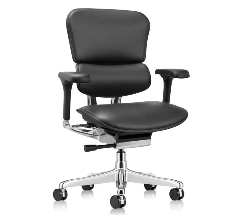Raynor Ergohuman Chair LE10ERGLO
