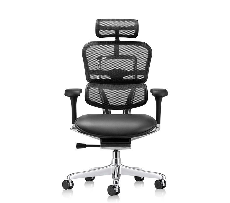 Raynor Ergohuman Mesh Back Chair with Headrest and Leather Seat - front