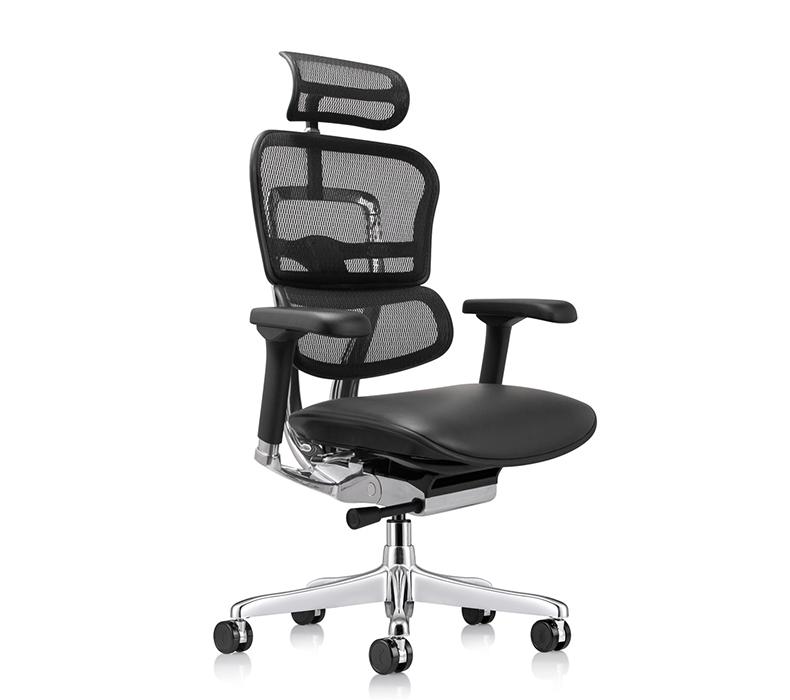 Raynor Ergohuman Mesh Back Chair with Headrest and Leather Seat - side