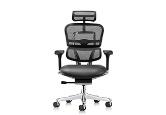 Raynor Ergohuman Mesh Chair with Leather Seat and Headrest LEM4ERG
