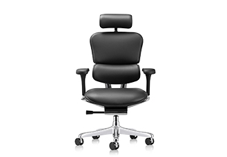 Raynor Ergohuman Leather Chair with Headrest LE9ERG