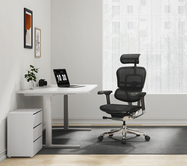 A ergonomic Raynor Ergohuman Mesh Chair with Headrest in a home office