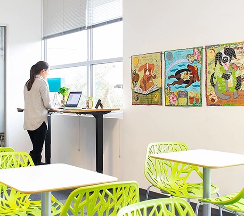 Teacher working in a classroom near a window at an UPLIFT standing desk.