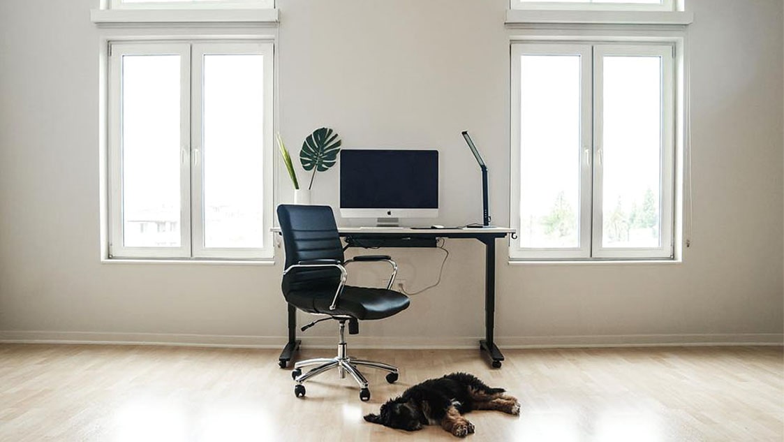 White Laminate V2 Standing Desk