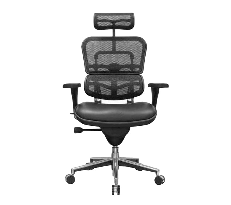 https://www.upliftdesk.com/content/img/product-tabs/product-tab-image-ray348-raynor-ergohuman-mesh-back-chair-headrest-leather-seat-.jpg